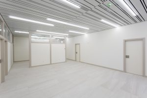 LAMA MULTIPANEL - Imagen 4