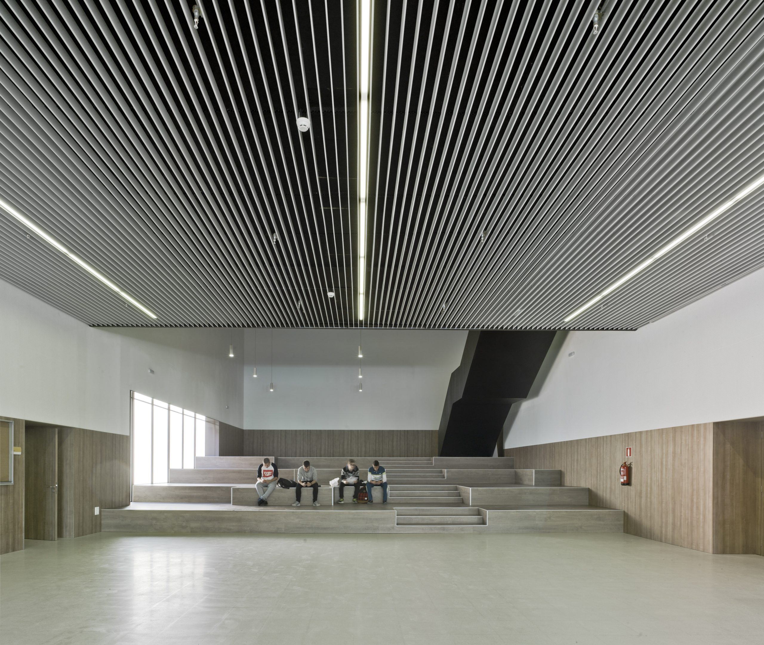 LAMA VERONA - Imagen 6