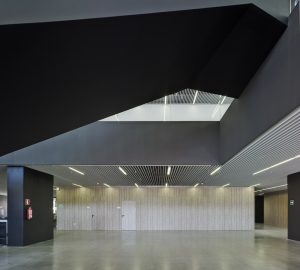lama verona ambiente